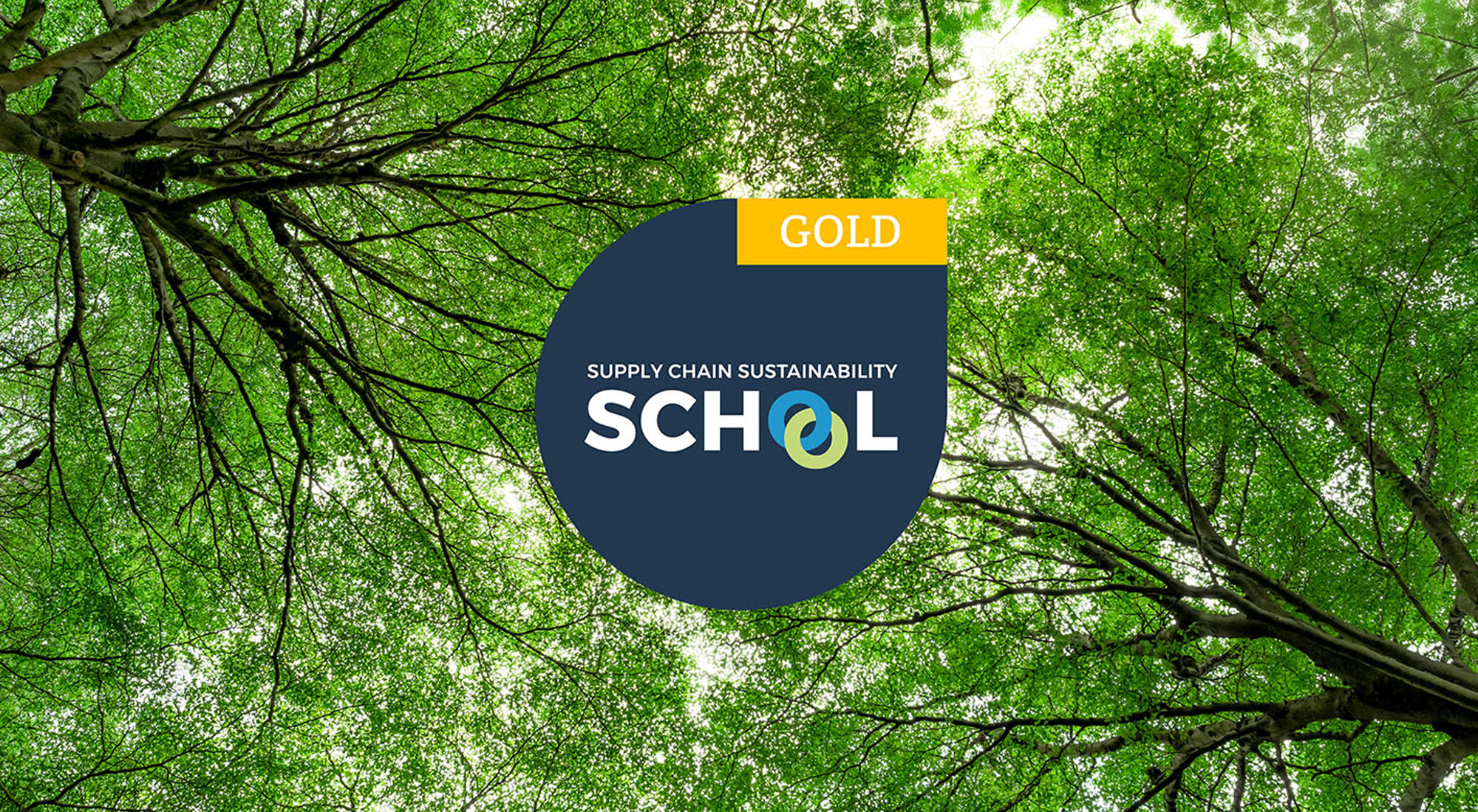 Gold Membership Level In Supply Chain Sustainability School